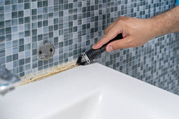 Best Residential Mold Remediation in Sky Lake, FL